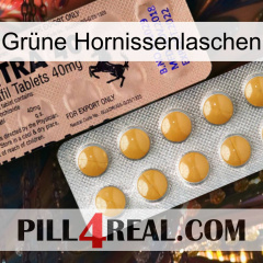 Grüne Hornissenlaschen 41